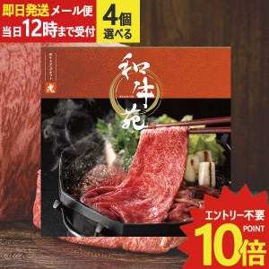 即日発送 メール便利用可能 カタログギフト 和牛苑 光 (ひかり) 4品選べる EO-B 牛肉 肉 高級 和牛 (即納 即日発送) 送料無料(北海道・沖