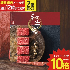 即日発送 メール便利用可能 カタログギフト 和牛苑 優 (ゆう) 2品選べる HO-B 牛肉 肉 高級 和牛 (即納 即日発送) 送料無料(北海道・沖縄