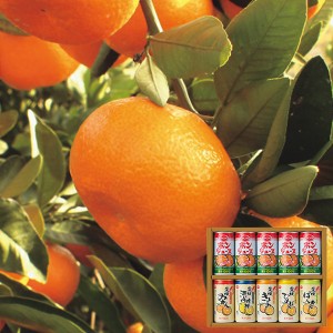 数量限定 味わい柑橘の詰合せギフト 10本 PM-20 【のし包装可】_ s24sg1 _