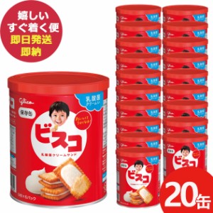 グリコ ビスコ保存缶 30枚×20缶 お菓子 防災 (即納 即日発送) (賞味期限:2029年8月) 送料無料(北海道・沖縄を除く)【 長期保存 非常食 