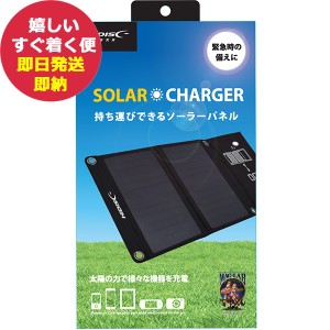 HIDISC ソーラーチャージャー 持ち運びできるソーラーパネル HD-2SOLAR21BK (即納 即日発送) 送料無料(北海道・沖縄を除く)【のし包装可