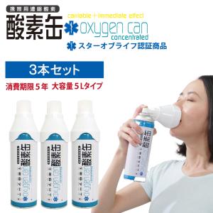 携帯用 酸素 ボンベ リュックの通販 Au Pay マーケット