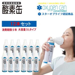 携帯用 酸素 ボンベ リュックの通販 Au Pay マーケット