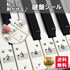 ピアノ 鍵盤 音符 シール 剥がせる ピアノ初心者 ステッカー