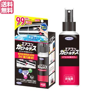 【ポイント倍々！最大+7%】エアコン クリーナー スプレー エアコンカビトルデス 100mL