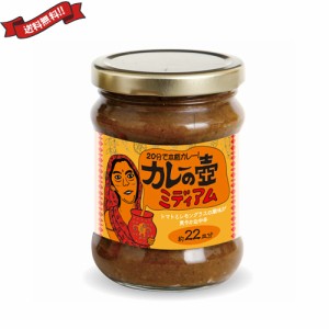 【200円OFFクーポン配布中！】カレー ルー レトルト 第3世界ショップ カレーの壺 ミディアム 220g