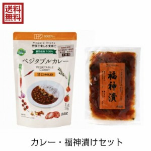 カレー レトルト ルー 創健社 ベジタブルカレー 福神漬け 自然食品セット