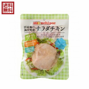 【500円OFFクーポン配布中！】サラダチキン 無添加 国産 ウチノ サラダチキン（プレーン） 100g