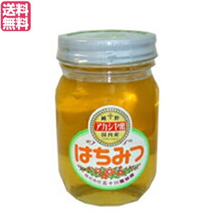 はちみつ 蜂蜜 国産 五十川養蜂園 国産はちみつ アカシア 500g 送料無料