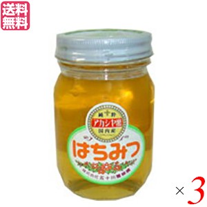 【ポイント倍々！最大+7%】はちみつ 蜂蜜 国産 五十川養蜂園 国産はちみつ アカシア 500g ３個セット 送料無料