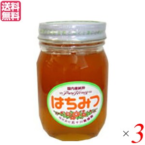 【200円OFFクーポン配布中！】はちみつ 蜂蜜 国産 五十川養蜂園 国産はちみつ 混花 500g ３個 送料無料