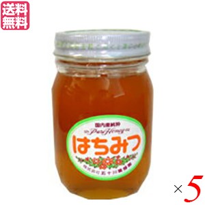 【200円OFFクーポン配布中！】はちみつ 蜂蜜 国産 五十川養蜂園 国産はちみつ 混花 500g ５個 送料無料