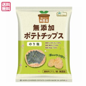 ポテチ ポテトチップス 無添加 おいしい純国産 無添加ポテトチップス のり塩 53g ノースカラーズ 送料