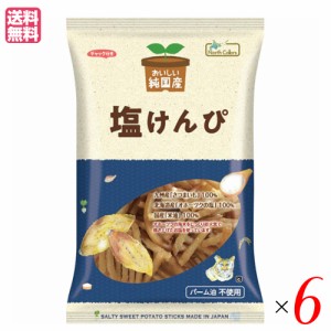 塩けんぴ 芋けんぴ かりんとう おいしい純国産 塩けんぴ 110g ノースカラーズ ６袋セット 送料無料