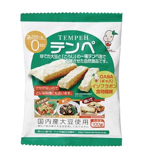 【ポイント倍々！最大+7%】テンペ（レトルト）100g マルシン食品 国産 大豆ミート 大豆肉 送料無料