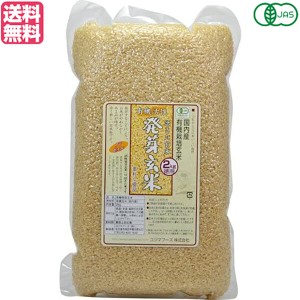 玄米 発芽玄米 国産 コジマフーズ 有機活性発芽玄米 2kg 送料無料