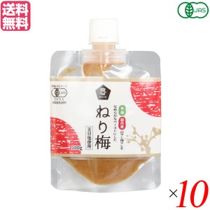 【ポイント倍々！最大+7%】ねり梅 練り梅 無添加 ムソー 有機ねり梅 100g １０個セット 送料無料