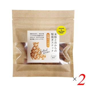 スナック 塩麹 堅焼き 米粉とおから堅焼きスナック 塩麹オニオン 40g 2個セット 茎工房 送料無料