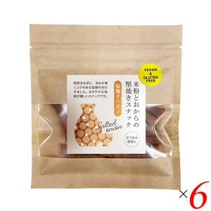 スナック 塩麹 堅焼き 米粉とおから堅焼きスナック 塩麹オニオン 40g 6個セット 茎工房 送料無料