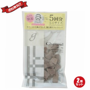 【200円OFFクーポン配布中！】ナイアード ガスール固形 お試し用50g 2袋セット