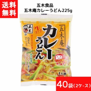 送料無料 五木食品 五木庵カレーうどん 225g 40袋 2ケース 袋麺 レトルト インスタント 食材 和食材 カレー うどん 即席めん 五木食品 九