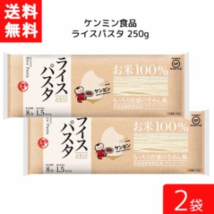 送料無料 ケンミン ライスパスタ 250g 2袋 家庭用 簡単 インスタント ライスペーパー お米 精米 玄米