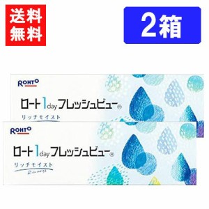 ロート ワンデーフレッシュビュー リッチモイスト（30枚入）×2箱 送料無料 RHOTO 1DAY フレッシュビュー