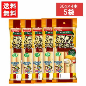 ニッスイ 濃厚チーズかまぼこ (30g×4本)×5袋 送料無料