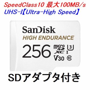 SanDisk microSDXCカード 256GB 高耐久性 UHSスピードクラス3 SDSQQNR-256G-GN6IA ネコポス送料無料
