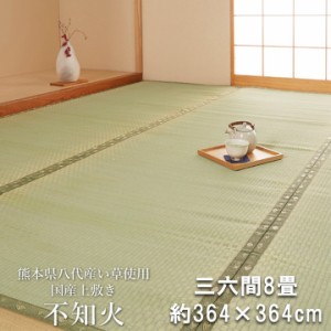 熊本県八代産い草使用 い草 上敷 国産 カーペット 「 不知火 」 三六間8畳(約364×364cm) (#6300148) 八代直送 上敷き カーペット 畳 い