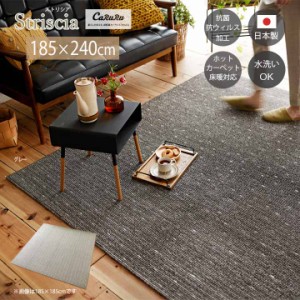 Striscia ストリシア ラグ[sn] Lサイズ(約3畳):185×240cm カーペット 3畳 日本製 抗菌 スミノエ 丸洗い 抗ウィルス 洗濯 すべり止め 無