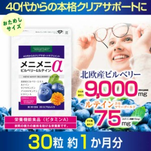 ビルベリー ルテイン 高配合 サプリ サプリメント 約１ヶ月分 北欧産ビルベリー ひと粒に9000mg 100倍濃縮 ブルーベリー ゼアキサンチン 