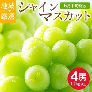 地域厳選 シャインマスカット 訳アリ 4房 約 1.2kg 以上 ハウス栽培 山梨県 岡山県 長野県 香川県 ご家庭用 マスカット ぶどう ギフト お