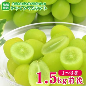 送料無料 地域厳選 シャインマスカット 1〜3房 1.5kg 前後 ご家庭用 マスカット ぶどう ギフト お中元 暑中見舞い 敬老の日 ギフト プレ