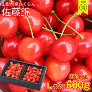 山形 さくらんぼ ギフトの通販 Au Pay マーケット 山形 さくらんぼ ギフトの通販 Au Pay マーケット