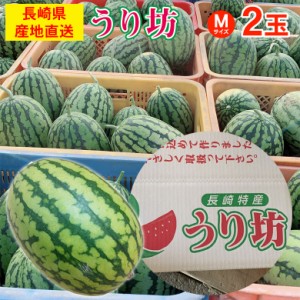 送料無料 長崎 長崎県産 すいか スイカ 西瓜 小玉 小玉スイカ うり坊 Mサイズ 2玉 訳あり すいか 長崎すいか ひとりじめ ご自宅用 加工用