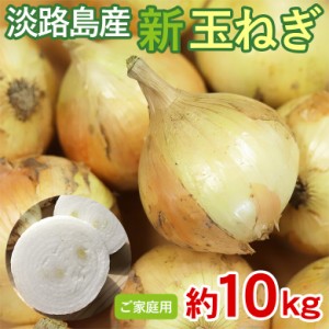 送料無料 玉ねぎ 訳アリ 分球 新玉ねぎ 新玉 淡路島産 約 10kg サイズ 野菜 オニオン タマネギ 玉葱 贈り物 プレゼント 訳あり 家庭用 自