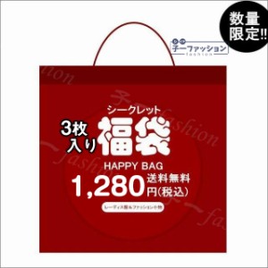 【送料無料・数量限定】『春・夏・秋・冬の福袋 2024新春福袋 2024 3点SET』 福袋 2024新春福袋 2024 ファッション小物 カットソー ワン