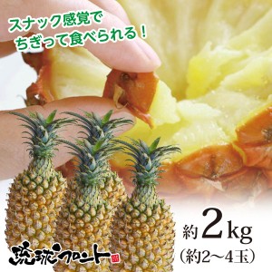 ★送料無料★ 沖縄県産 スナックパイン 約2kg（約2〜4玉） 沖縄 パイナップル ボゴールパイン
