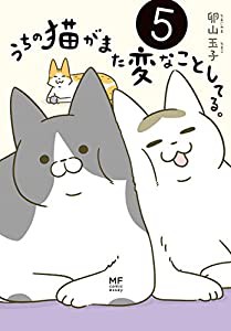 うちの猫がまた変なことしてる。5 (MF comic essay)(中古品)