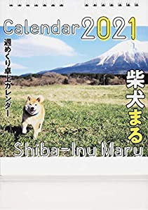 2021年 柴犬まる週めくり卓上カレンダー ([カレンダー])(中古品)