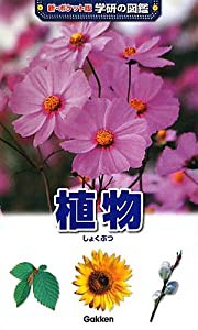 植物 (新ポケット版 学研の図鑑)(中古品)