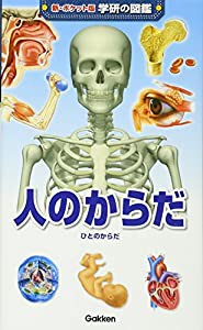 人のからだ (新ポケット版 学研の図鑑)(中古品)