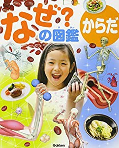 からだ (なぜ?の図鑑)(中古品)