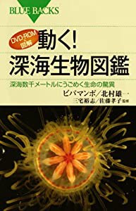 DVD-ROM&図解 動く!深海生物図鑑—深海数千メートルにうごめく生命の驚異 (ブルーバックス)(中古品)