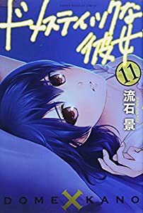 ドメスティックな彼女(11) (講談社コミックス)(中古品)