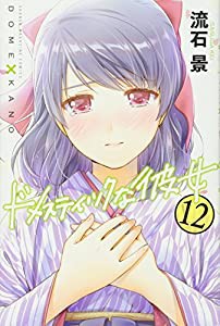 ドメスティックな彼女(12) (講談社コミックス)(中古品)