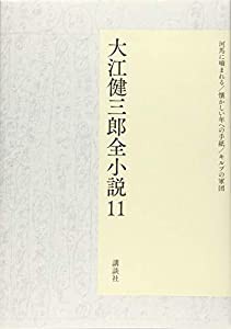 大江健三郎全小説 第11巻 (大江健三郎 全小説)(中古品)