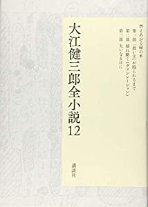 大江健三郎全小説 第12巻 (大江健三郎 全小説)(中古品)