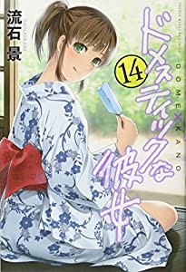 ドメスティックな彼女(14) (講談社コミックス)(中古品)